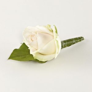 Knaphulsblomst, storhovedet rose