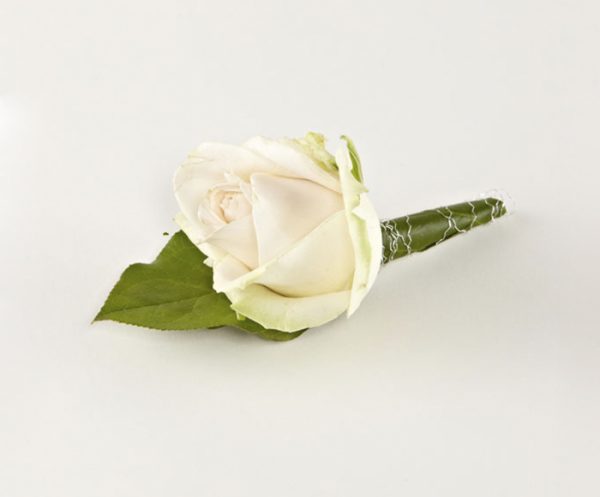 Knaphulsblomst, storhovedet rose