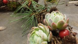 Guide: Sådan laver du nemt en smuk dørkrans