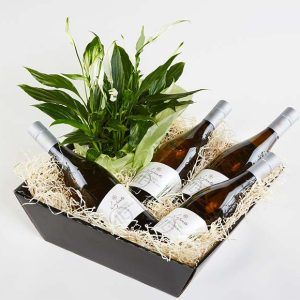 Blomstrende gavekasse med hvidvin