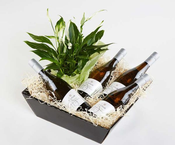 Blomstrende gavekasse med hvidvin