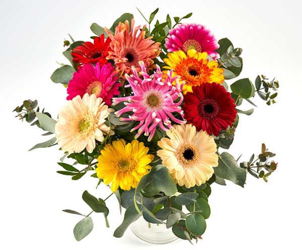 Farverig buket gerbera