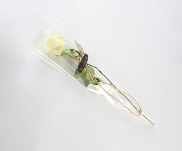 En hvid rose
