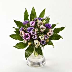 Farverige franske anemoner