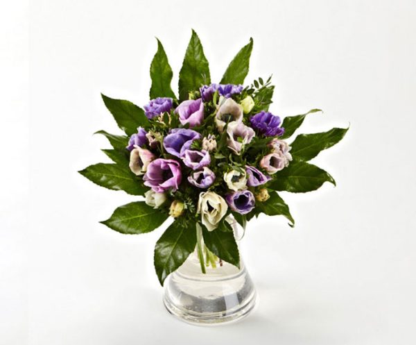 Farverige franske anemoner