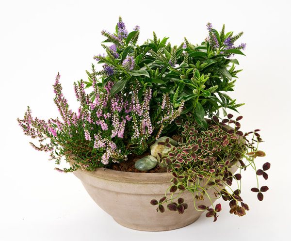 Efterårsbeplantning