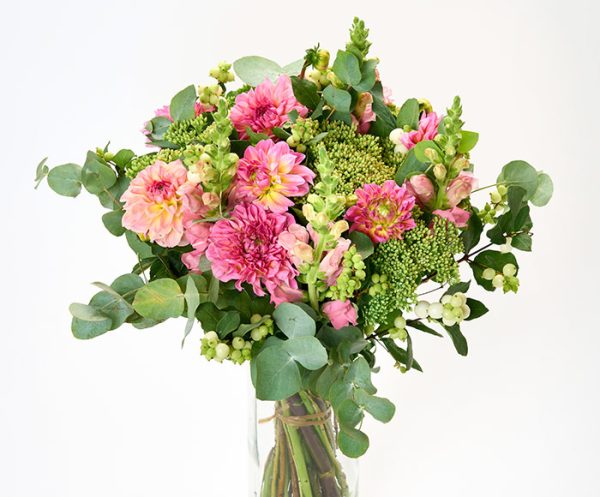 Georginer i flor, floristens valg