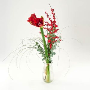 Sød buket med amaryllis og ilex