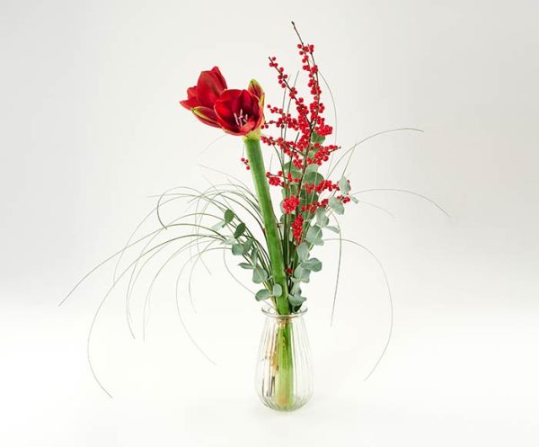 Sød buket med amaryllis og ilex