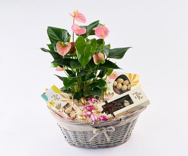 Påske hyggekurv der blomstrer