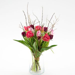 Tulipan herlighed med forårsgrene