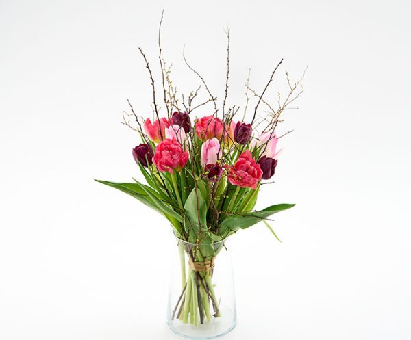 Tulipan herlighed med forårsgrene