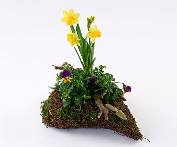 Forårs gravhjerte, floristens valg