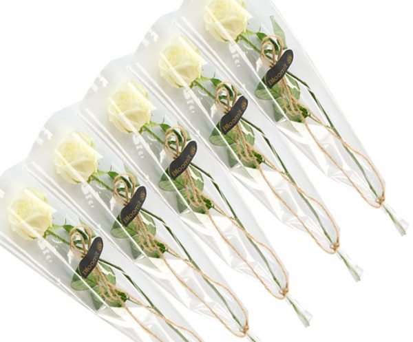 5 elegante hvide roser, gavepakket