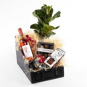 Jubilæumspakke med rosévin