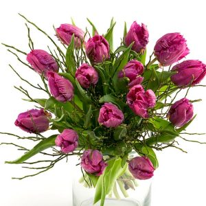 Frisk buket lilla tulipaner