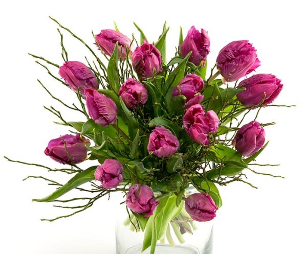 Frisk buket lilla tulipaner