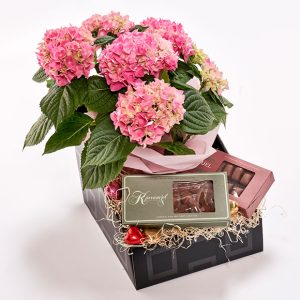Blomstrende mors dag gavekasse