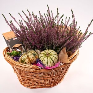 Blomstrende efterårskurv