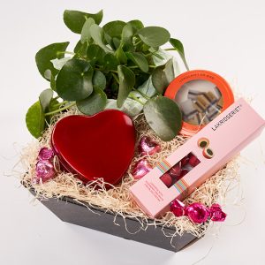 Yndig kurv med plante