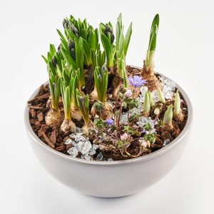 Forårsdekoration, floristens valg