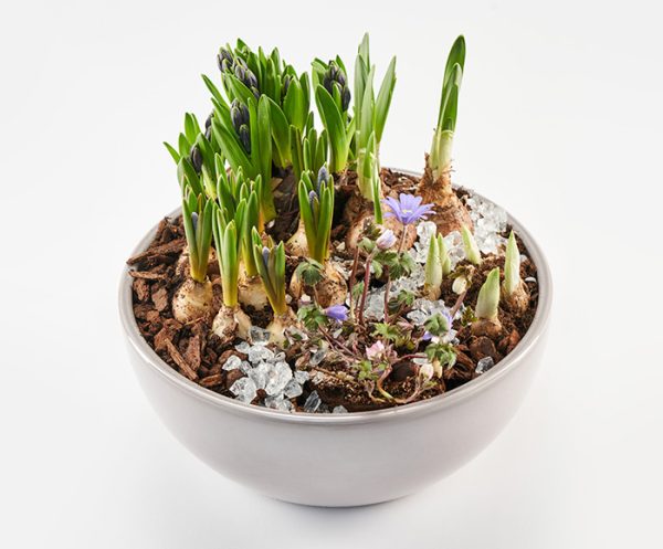 Forårsdekoration, floristens valg