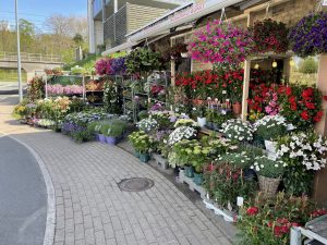 Blomsterhuset, Allerød
