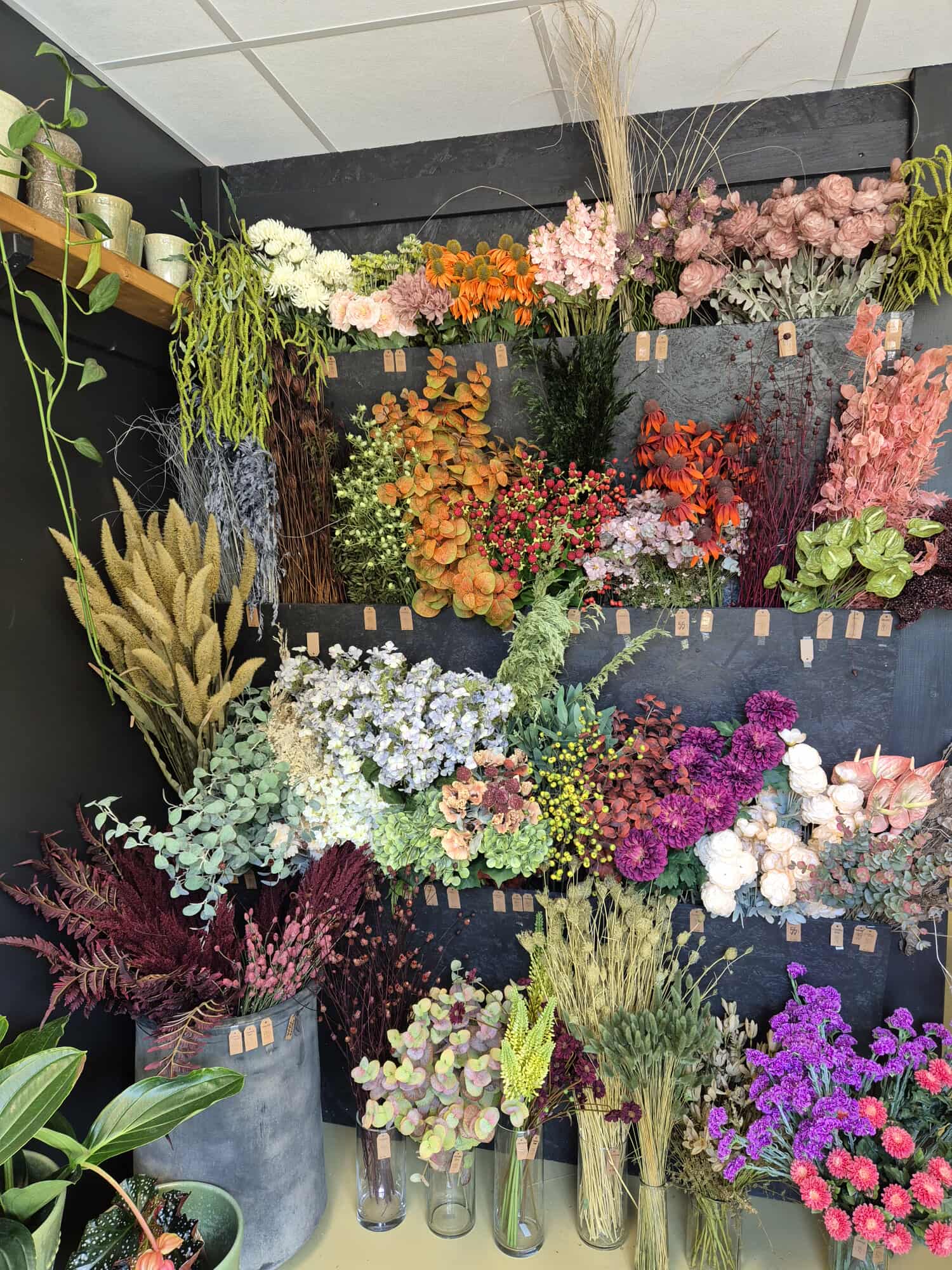 Flowers By Nørgaard - viser forskellige afskårne blomster fra butikken.