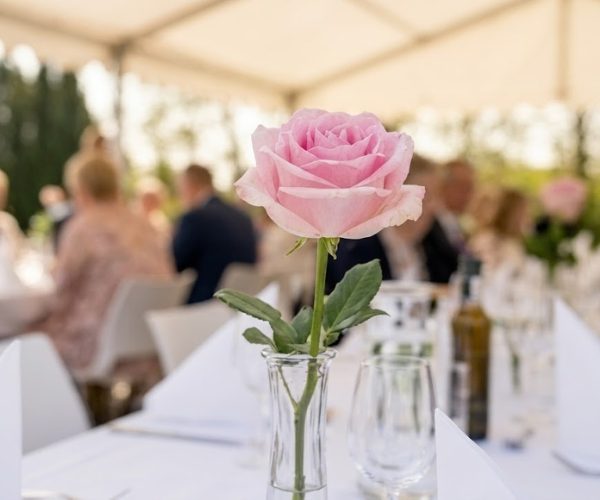 Tre lyserøde roser til konfirmanderne - Send blomster med Bloomit