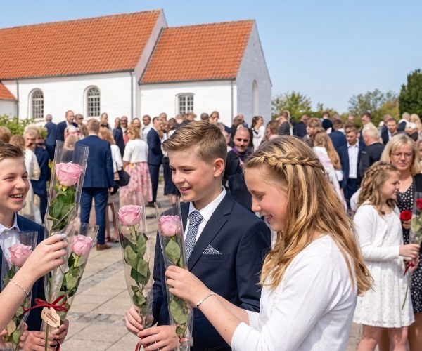 Fem lyserøde roser til konfirmanderne - Send blomster med Bloomit