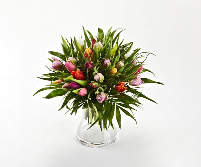 Blandede tulipaner