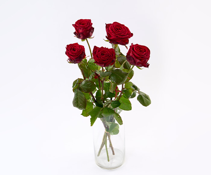 Se Buket med 5 røde roser hos Bloomit