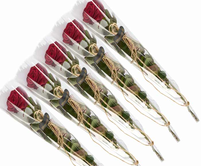 Se 5 elegante røde roser gavepakket. Bestil og få leveret i dag hos Bloomit
