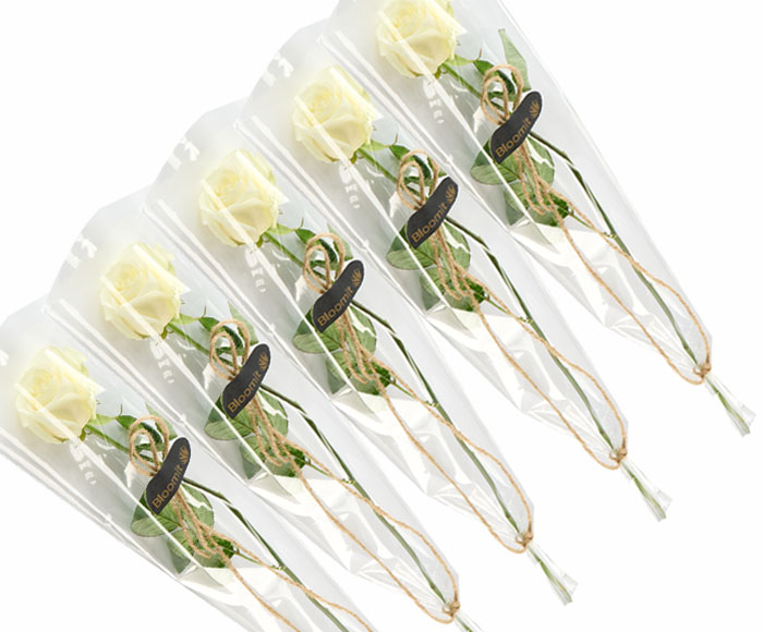 Se 5 elegante hvide roser, gavepakket hos Bloomit