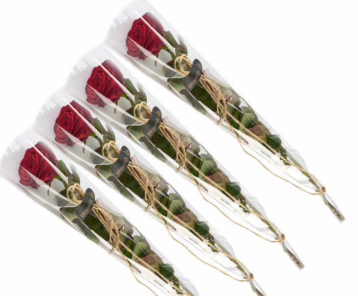 Se 4 elegante røde roser gavepakket. Bestil og få leveret i dag hos Bloomit