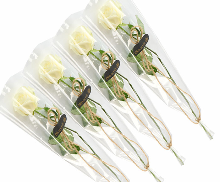 4 elegante hvide roser, gavepakket