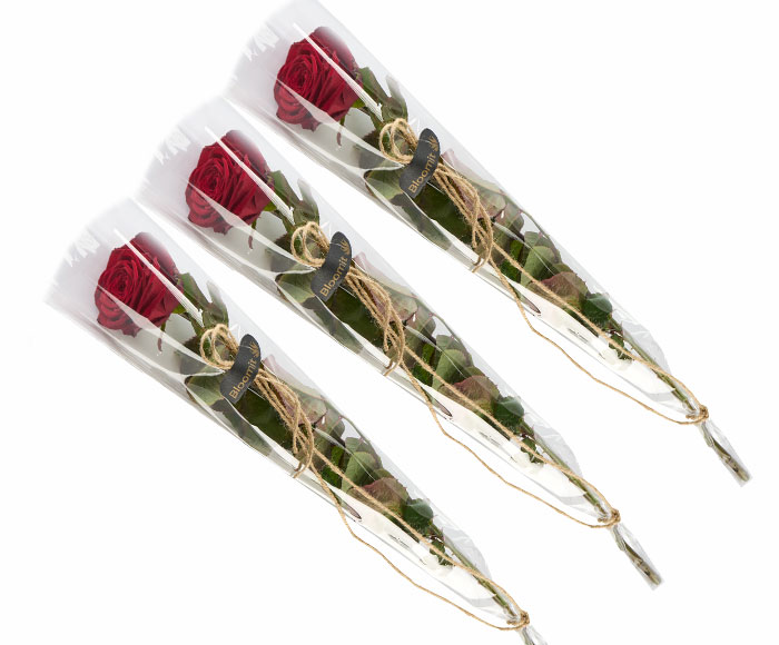 Billede af 3 elegante røde roser gavepakket. Bestil og få leveret i dag