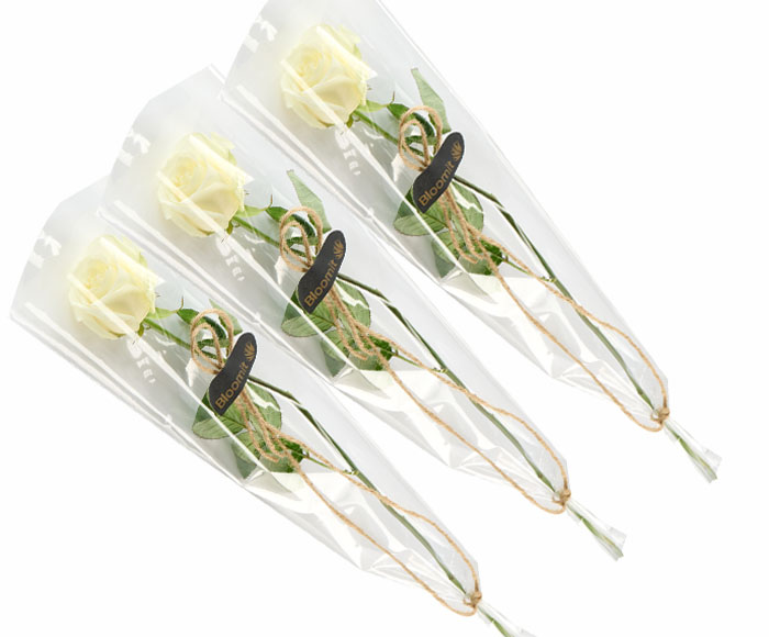 3 elegante hvide roser, gavepakket