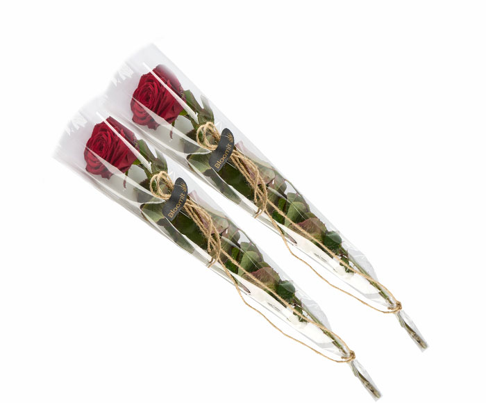Se 2 elegante røde roser, gavepakket hos Bloomit