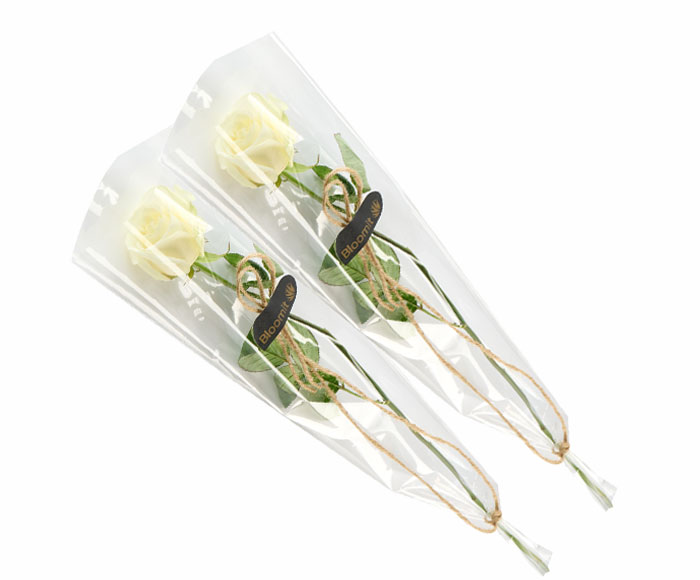 2 elegante hvide roser, gavepakket