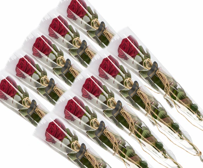 Billede af 10 elegante røde roser, gavepakket