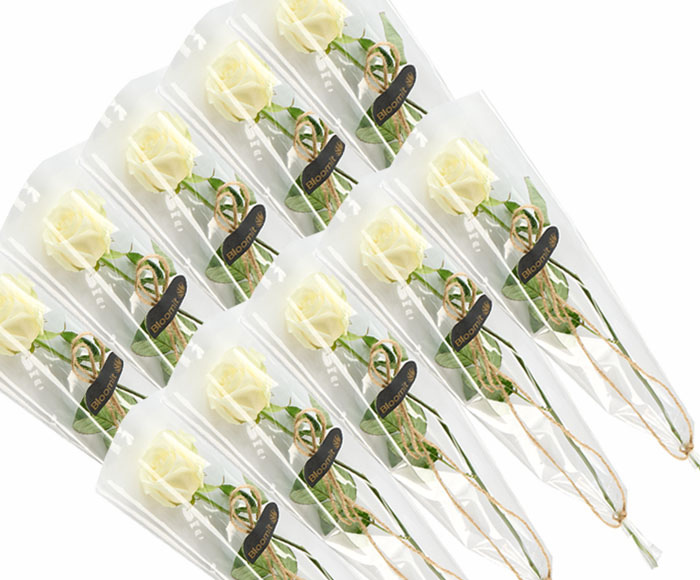 10 elegante hvide roser, gavepakket